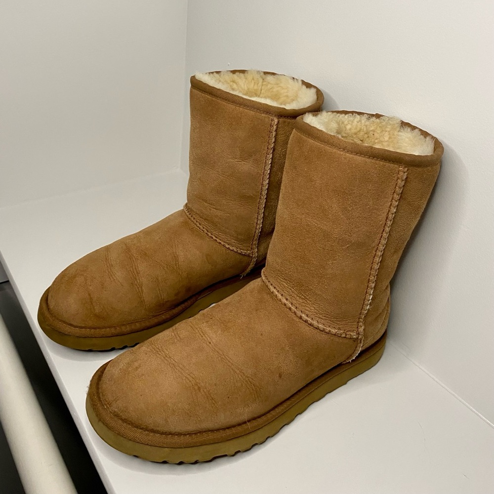 UGG Classic Short Chestnut Boot (size 8)